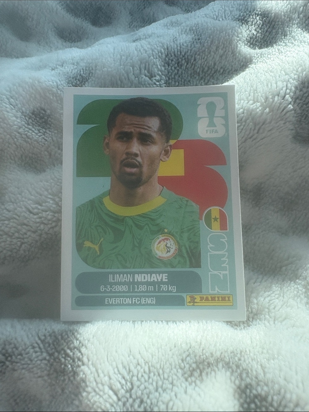 Panini Sticker - Green and Yellow Senegal Jersey